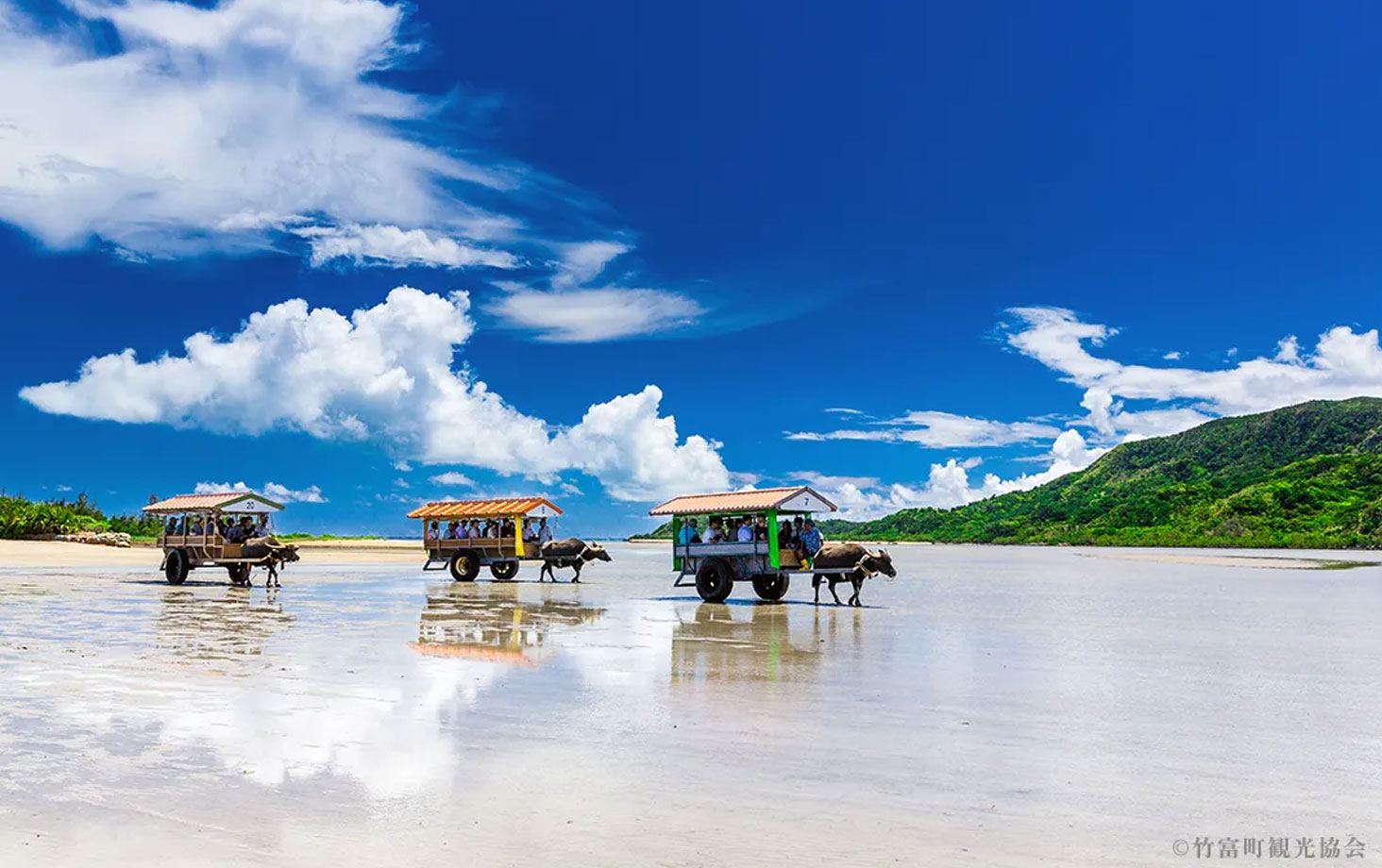 REMOTE ISLAND