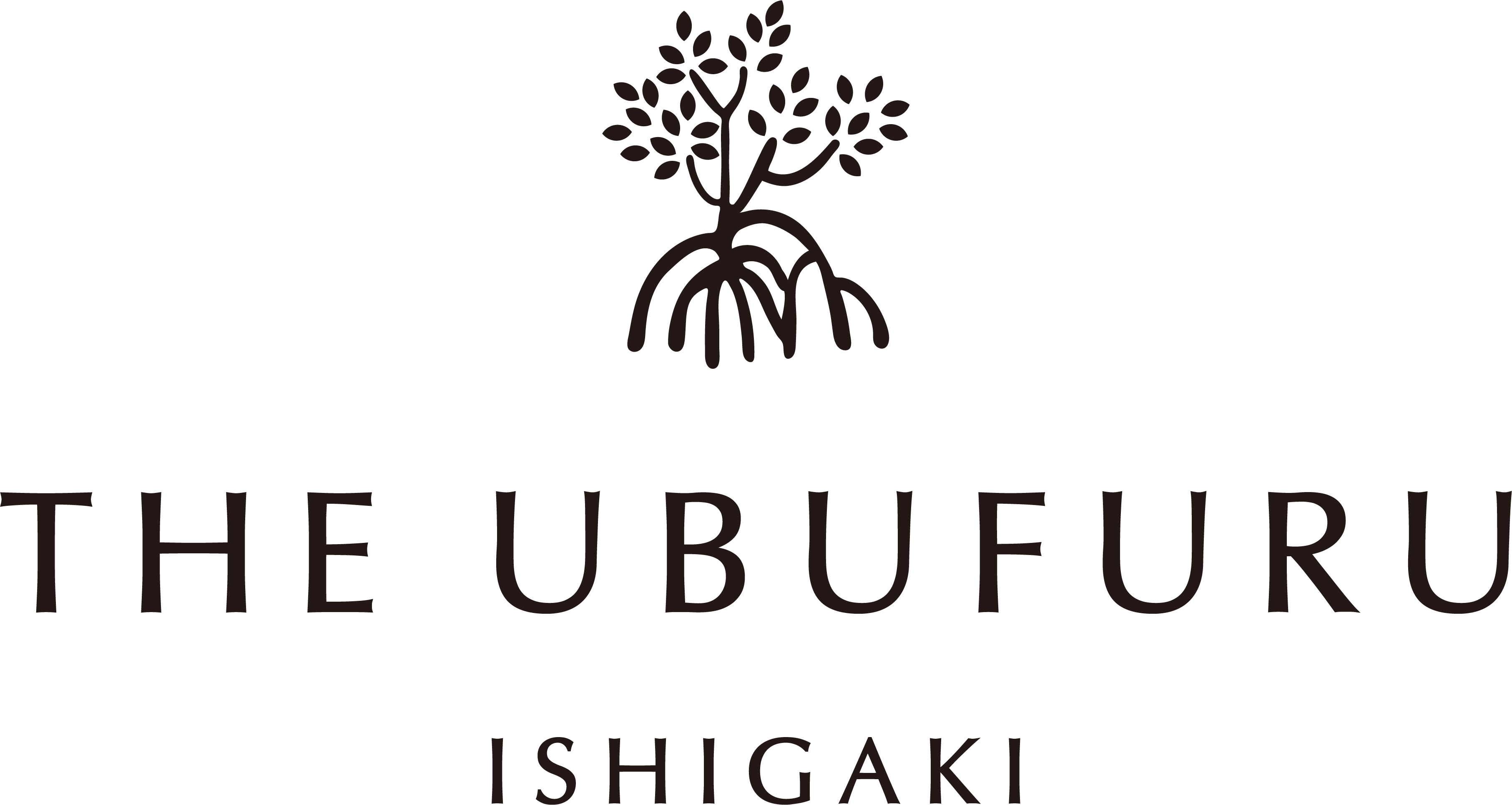 THE UBUFURU ISHIGAKI